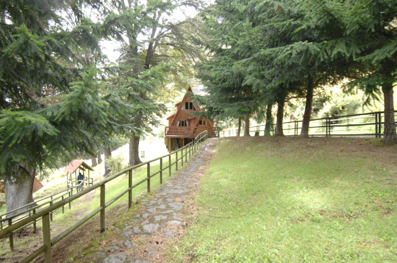 Cabanas Lago Elizalde Coyhaique Εξωτερικό φωτογραφία