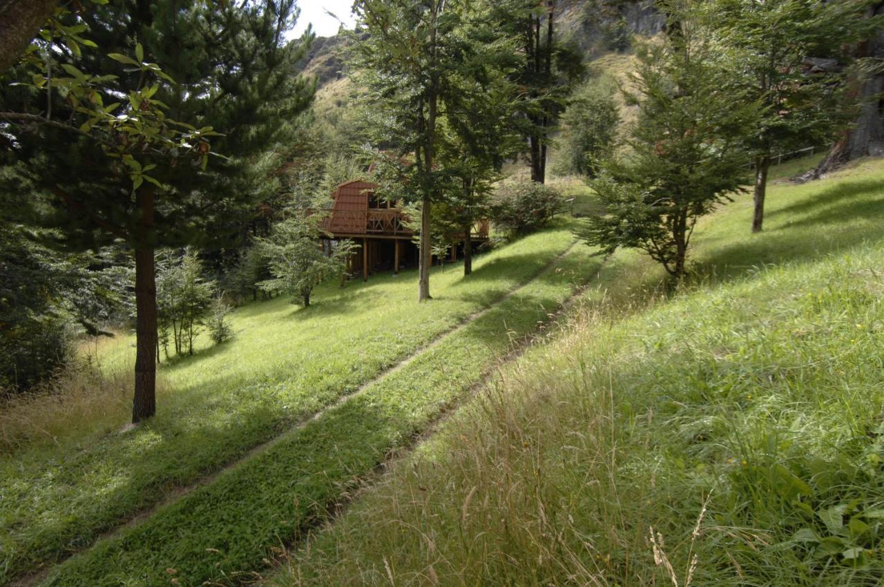 Cabanas Lago Elizalde Coyhaique Εξωτερικό φωτογραφία